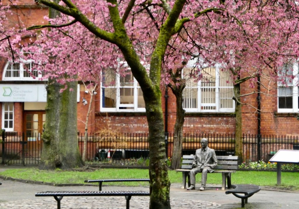 Turing and blossom, 14/2/24