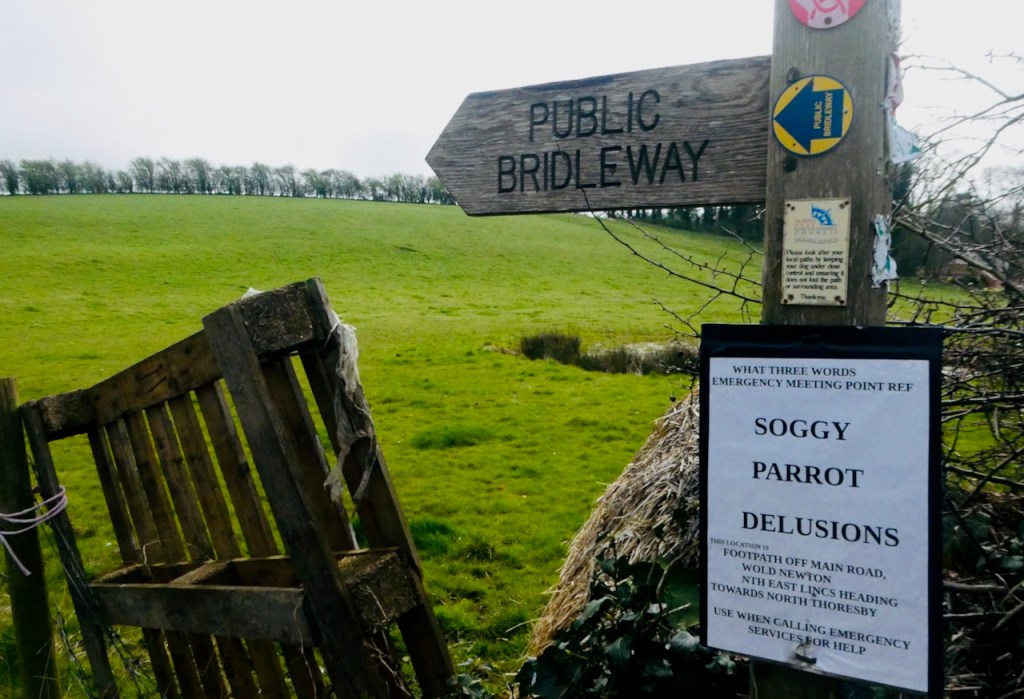 Soggy parrot delusions, 31/3/24