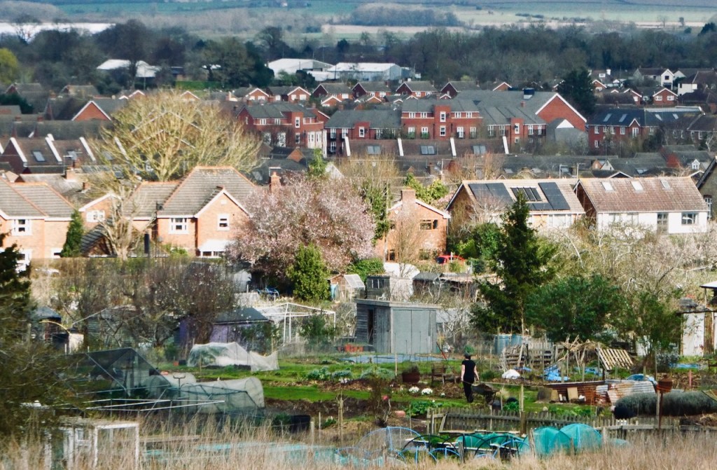 Woburn Sands, 16/3/24