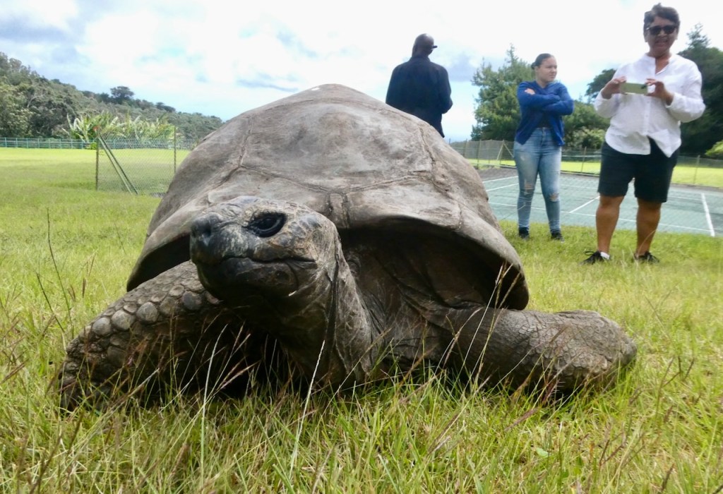 Jonathan again, 7/5/24