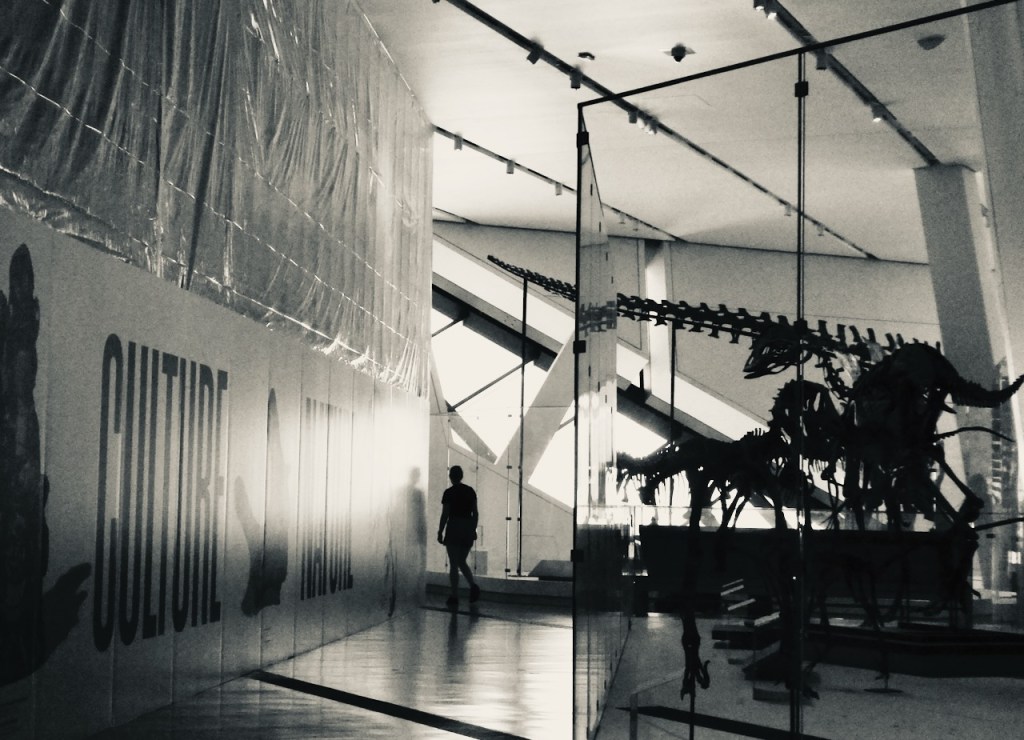 Royal Ontario Museum, 16/.6/24