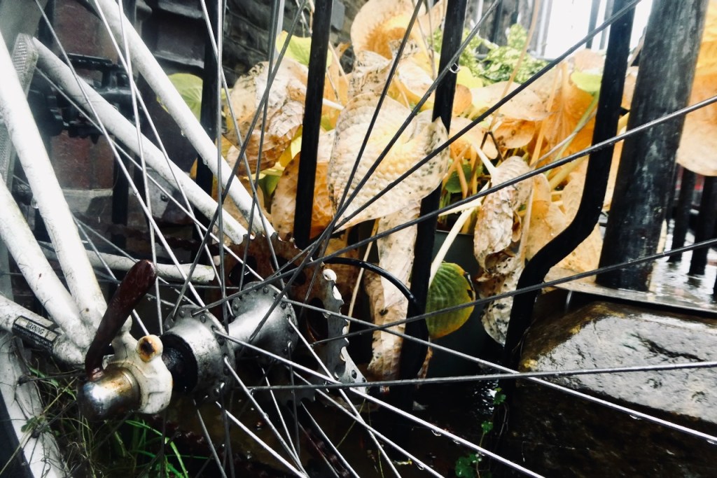 Unused bike, 1/10/24