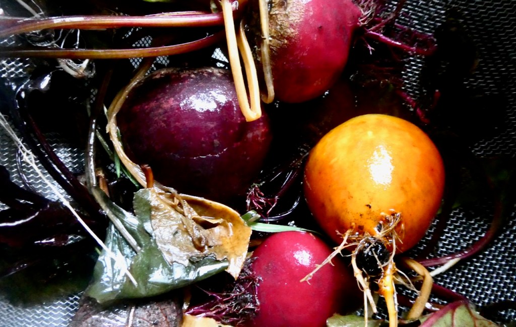 Beetroots, 24/11/24