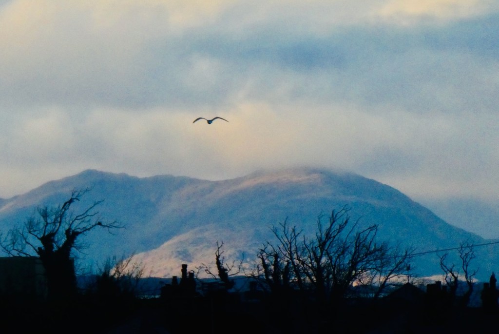 Coniston Old Man, 1/1/25