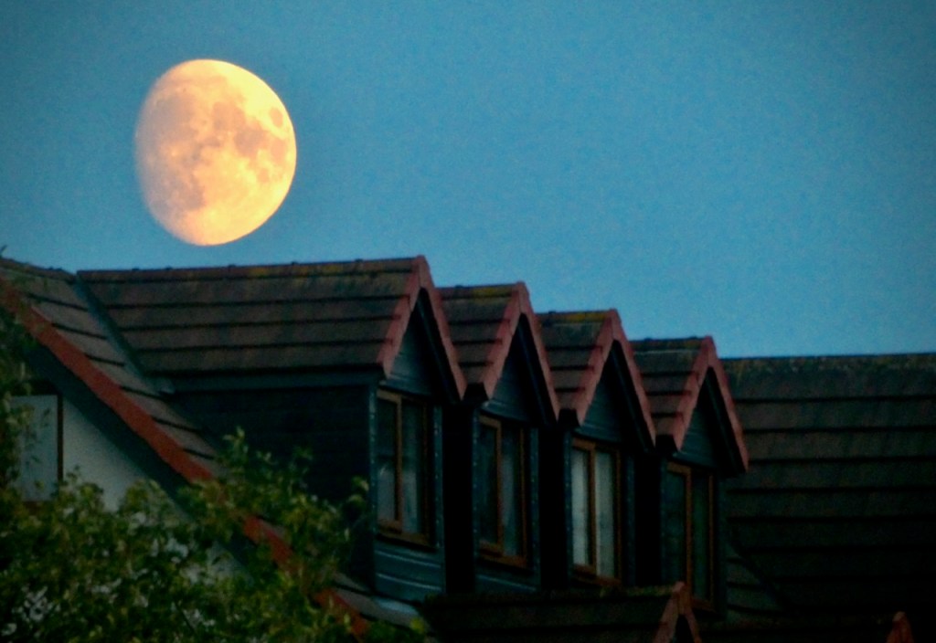 Moon and rooves, 5/8/25