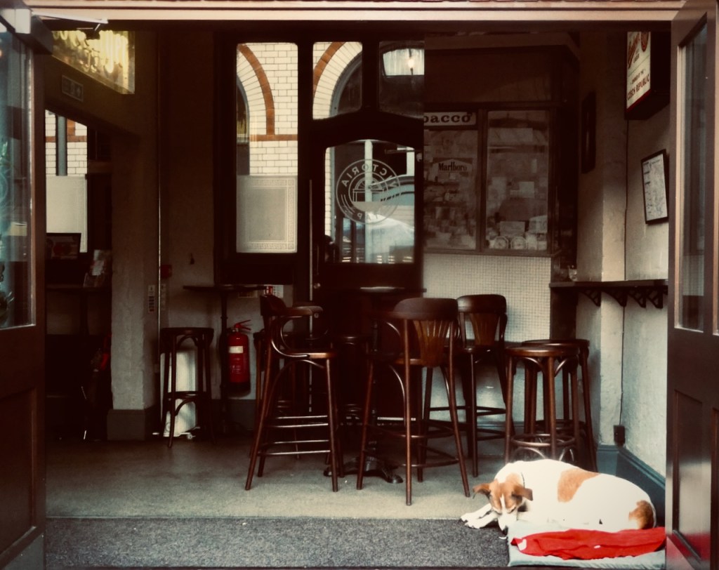 Victoria Tap dog, 9/8/25