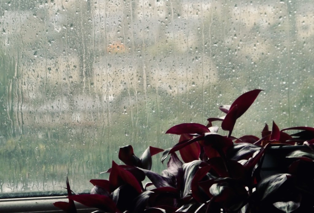 Rainy Monday, 15/9/25