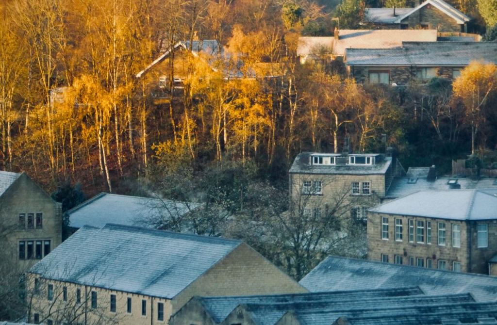 Frosty rooves, 21/11/25