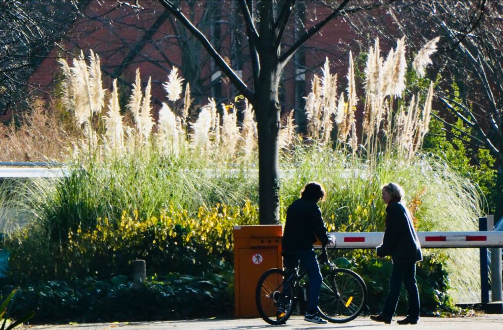 Campus pampas, 3/12/25