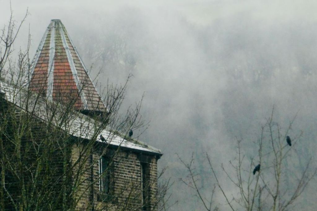 Eiffel Tower and birds, 15/12/25