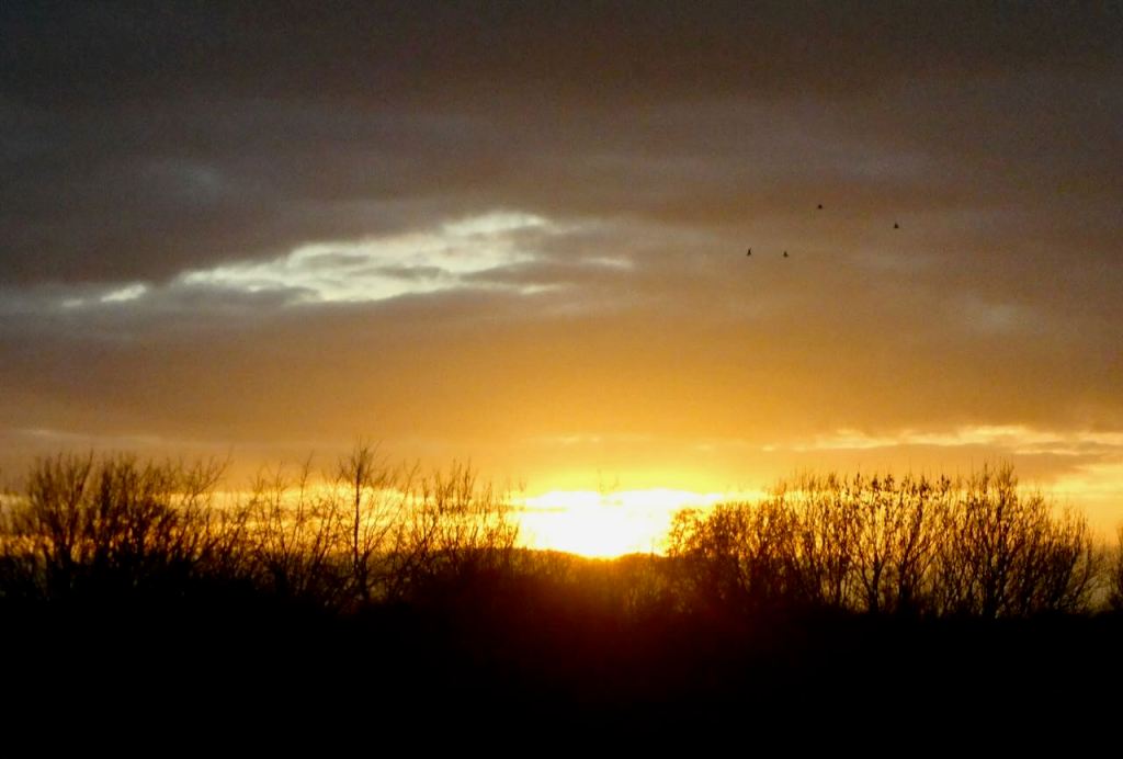 Manchester sunset, 11/12/25