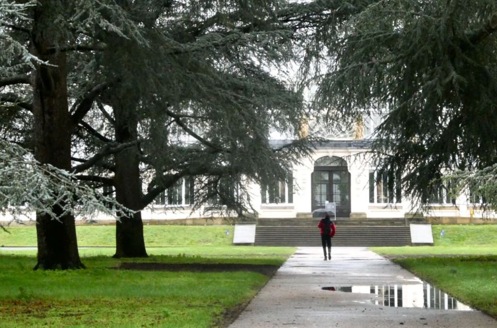 Kew Gardens, 27/1/26