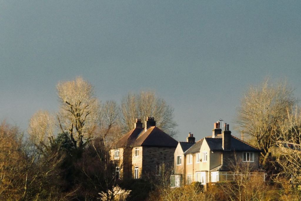 Treetop houses, 16/1/26