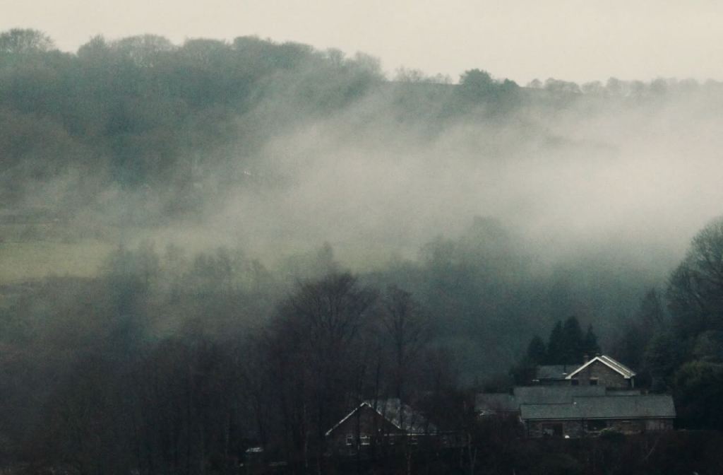 Valley mist, 19/1/26