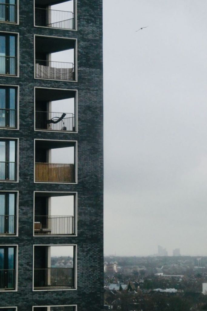 Walthamstow apartment, 25/1/25