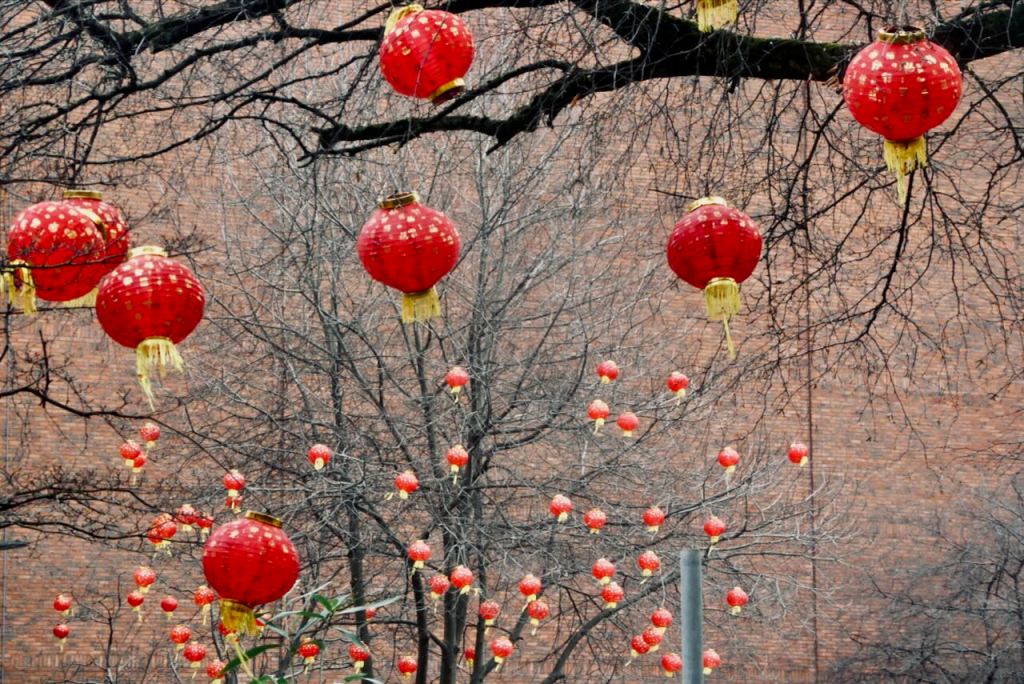 Chinese lanterns, 10/2/26
