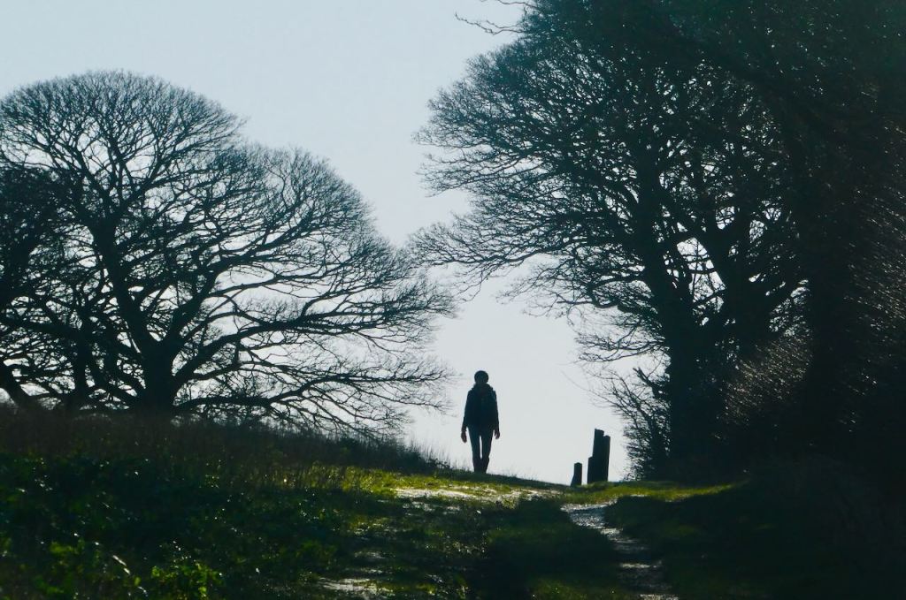 Path of ascent, 14/2/26