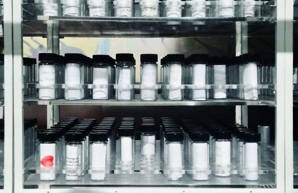 Infected blood memorial, 11/3/26