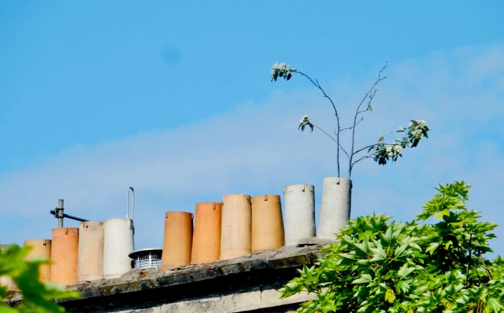 Dundee chimneys, 26/5/26