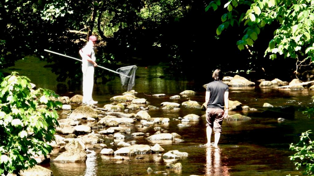 Fishing, Hebden Water, 30/5/26