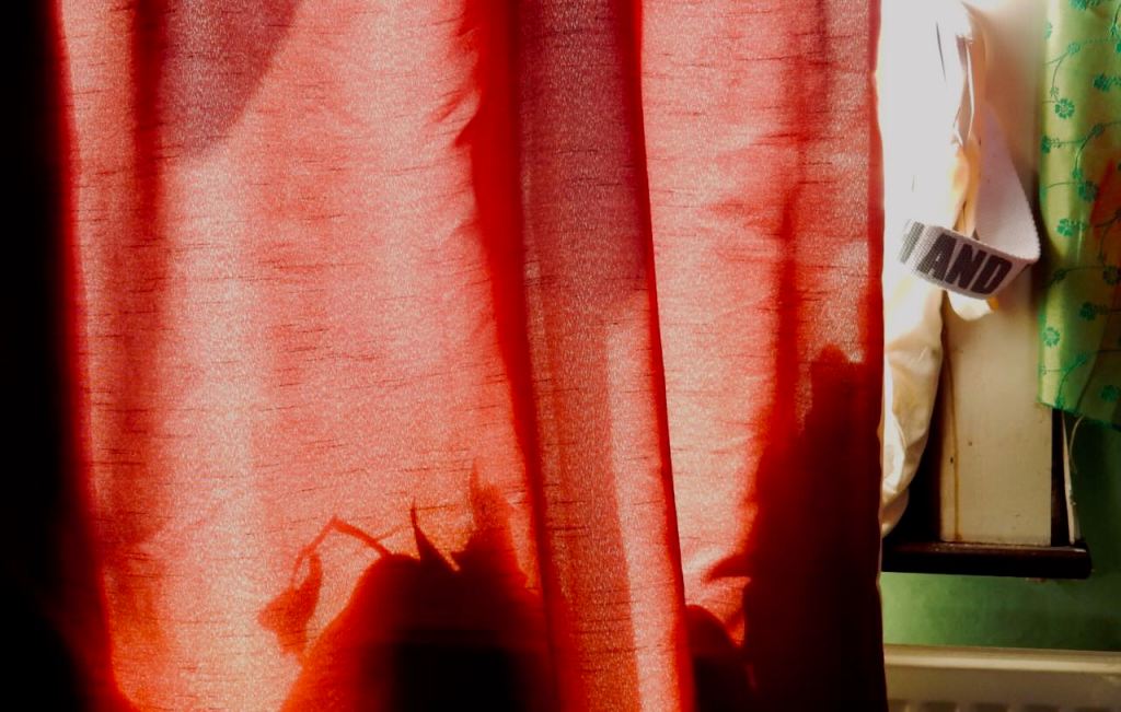 Closed curtains, 16/7/26