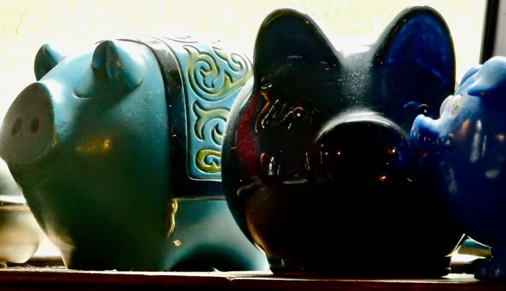 Blue pigs, 30/8/26