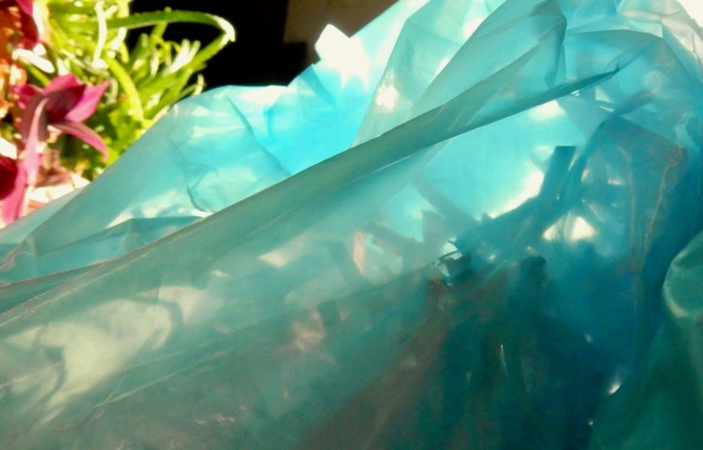 Shredded paper, 28/8/26