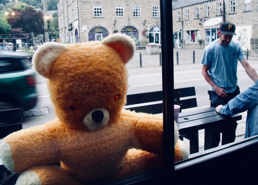 Skip rescue bear, 21/9/26