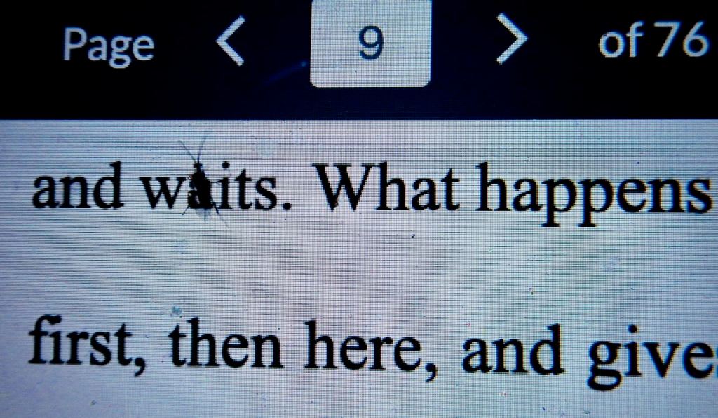 Text with insect, 28/9/26