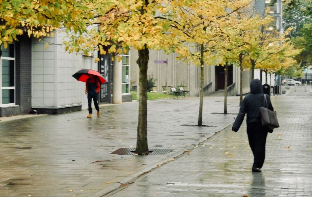 Campus drizzle, 20/10/26