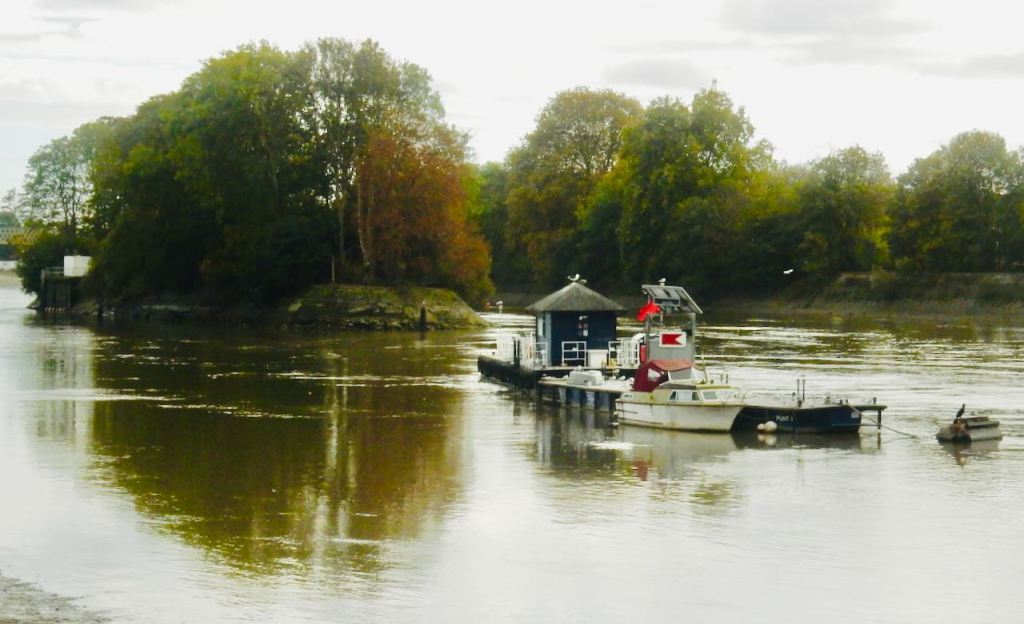 Thames at Kew Bridge, 28/10/26